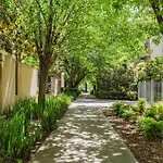 Casablanca Mcg Patio Parking Netflix
